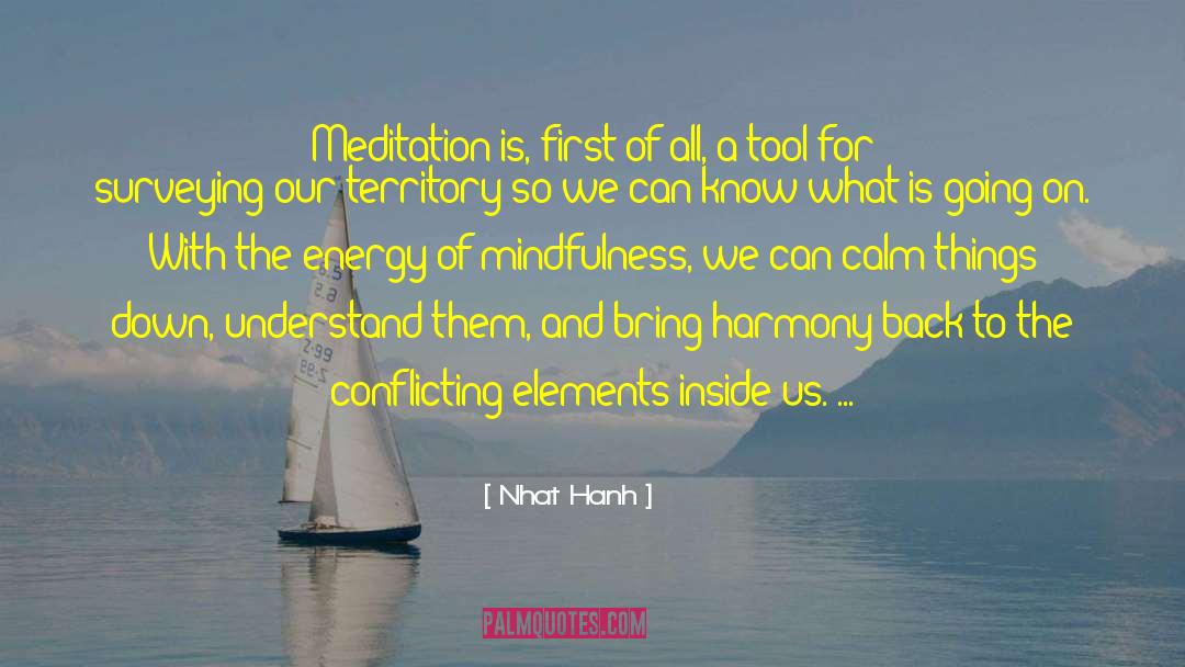 Going To The Beach quotes by Nhat Hanh