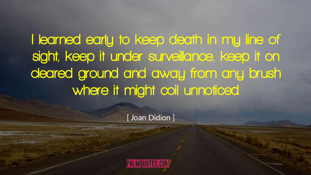 Going Unnoticed quotes by Joan Didion