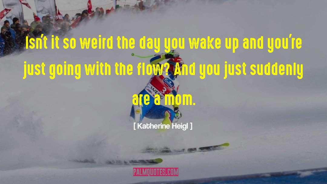 Going With The Flow quotes by Katherine Heigl