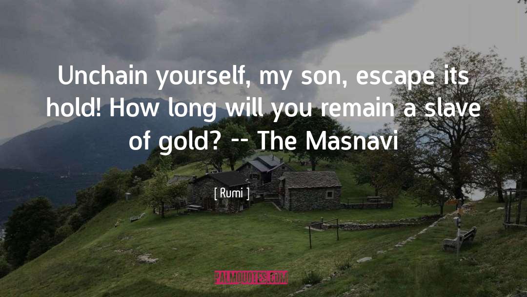 Gold Bar Necklace quotes by Rumi