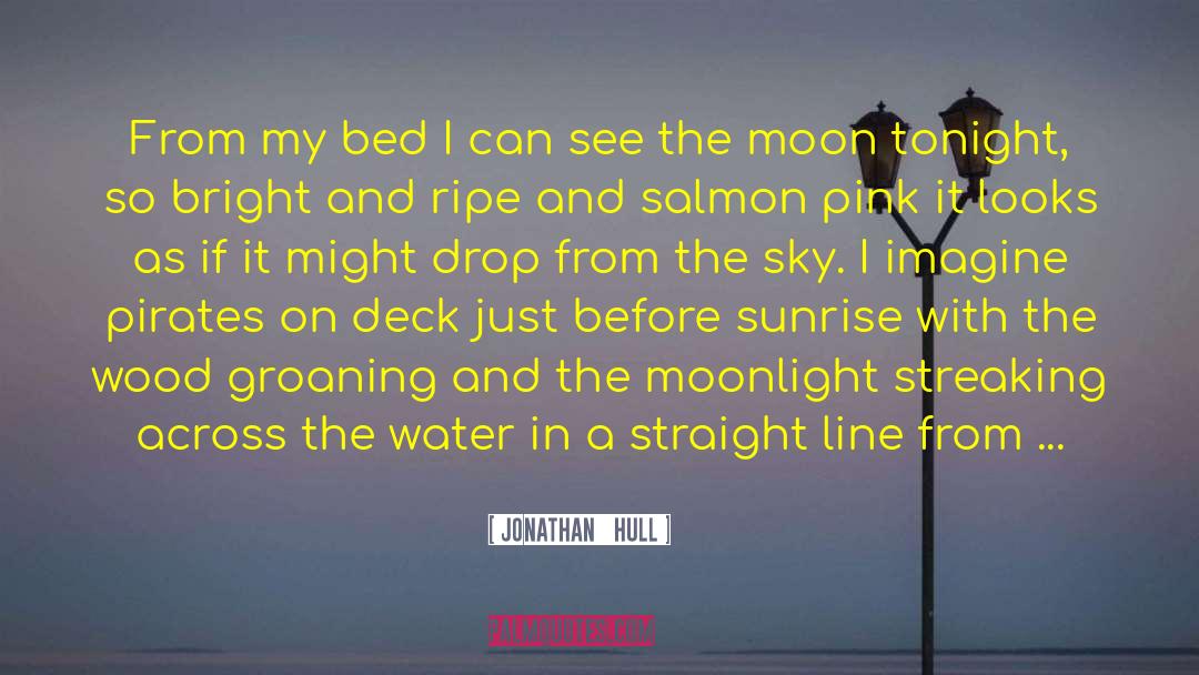 Gold By Moonlight quotes by Jonathan   Hull