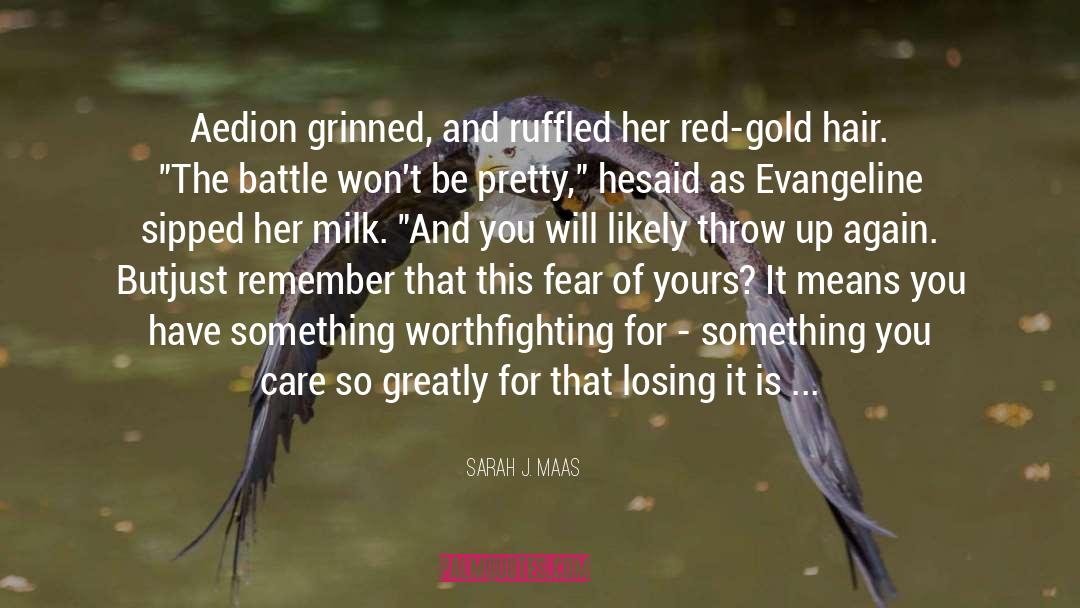 Gold Mining quotes by Sarah J. Maas