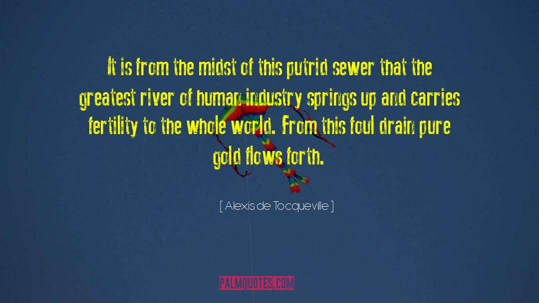 Gold Prospecting quotes by Alexis De Tocqueville