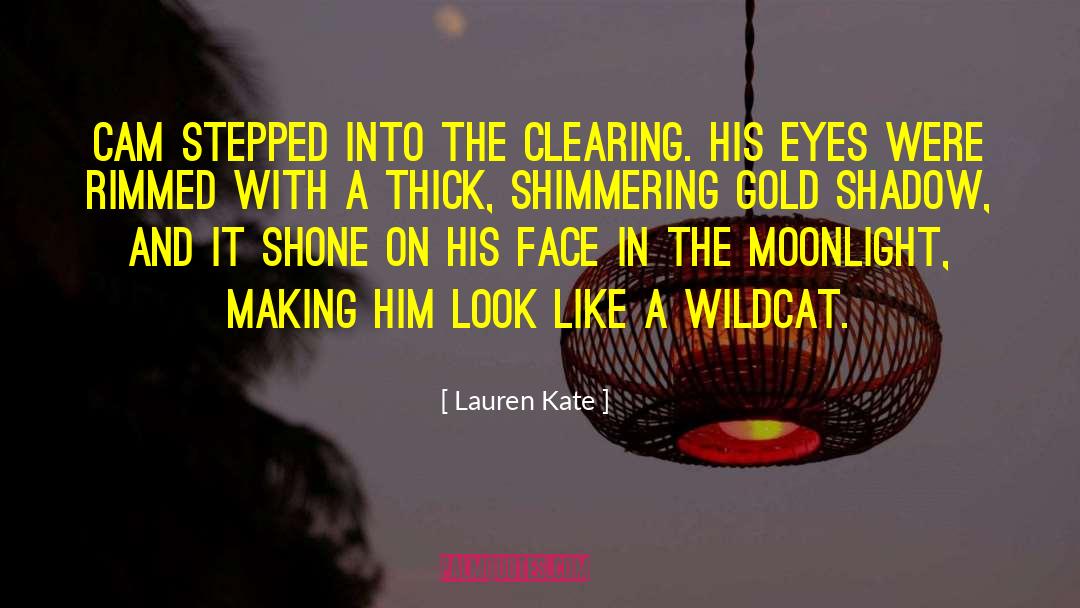 Gold Shadow quotes by Lauren Kate