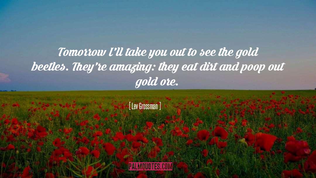 Gold Shoes quotes by Lev Grossman