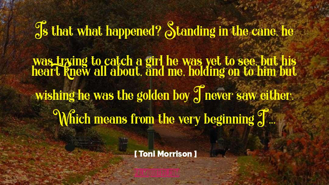 Golden Boy quotes by Toni Morrison