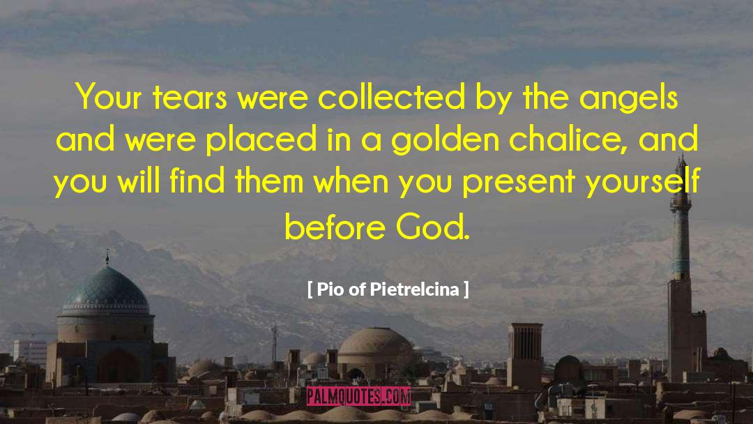 Golden Coach quotes by Pio Of Pietrelcina