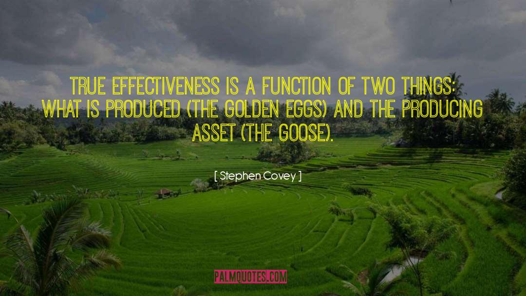 Golden Eggs quotes by Stephen Covey