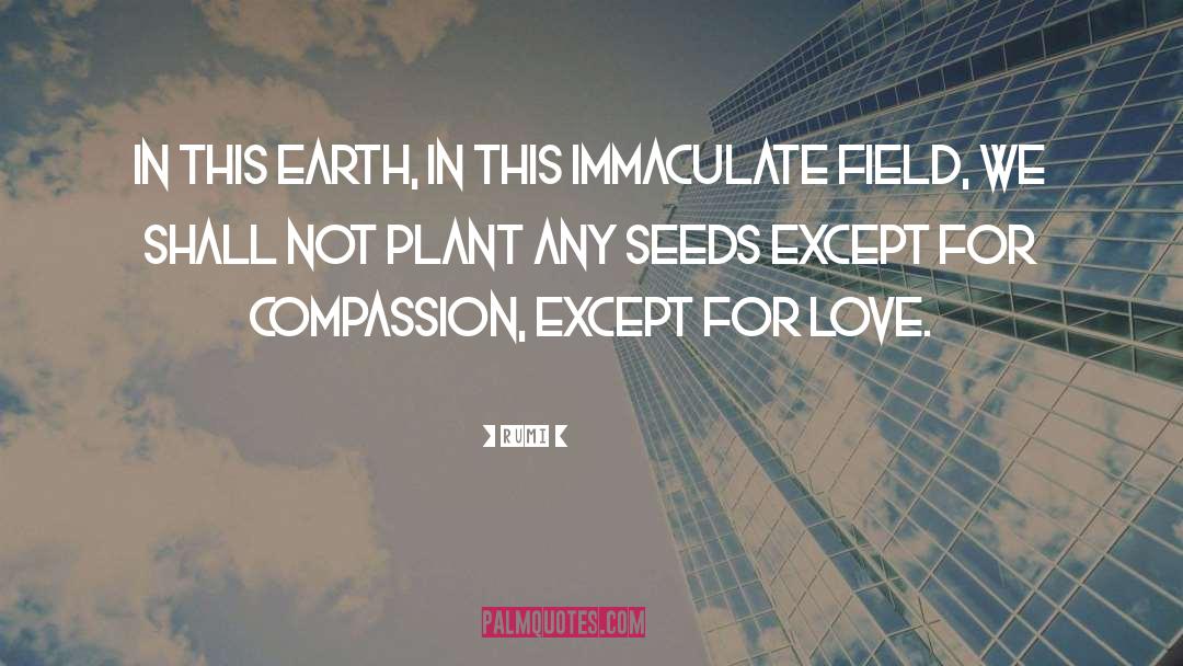 Golden Fields quotes by Rumi