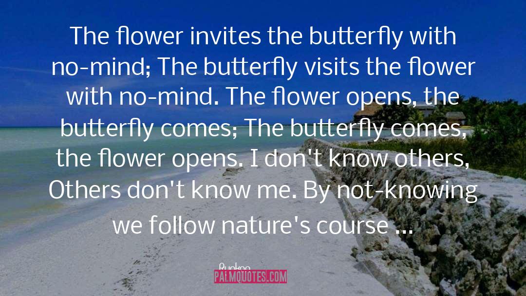 Golden Flower quotes by Ryokan