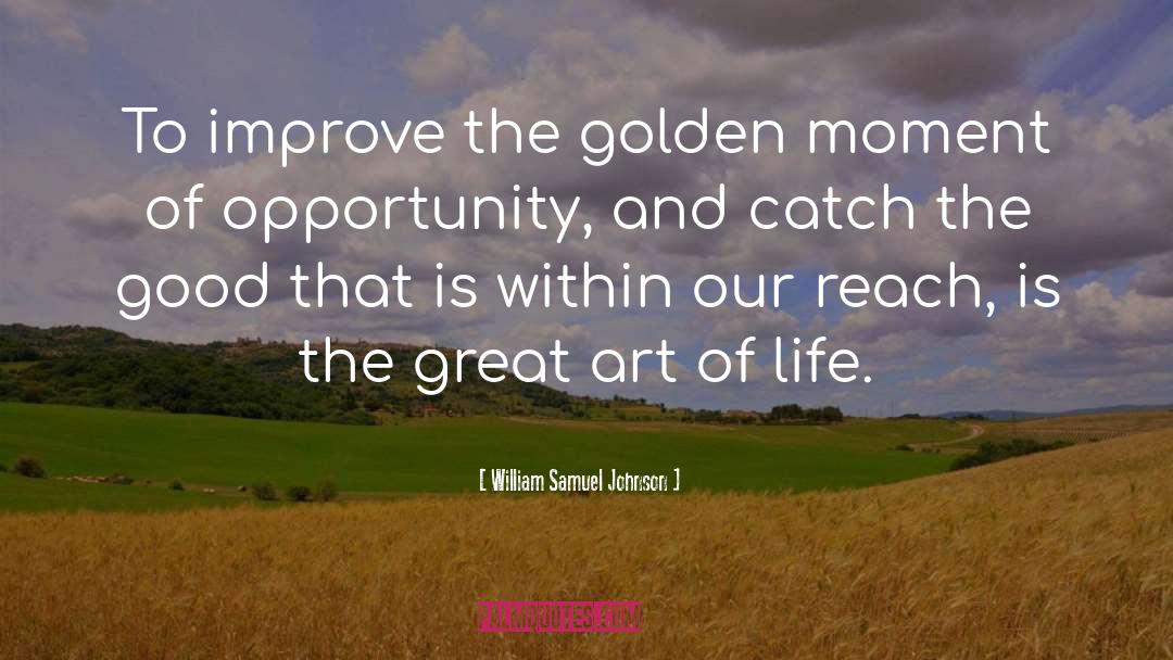 Golden Moment quotes by William Samuel Johnson