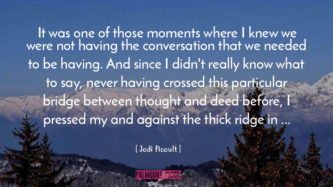 Golden Moments quotes by Jodi Picoult