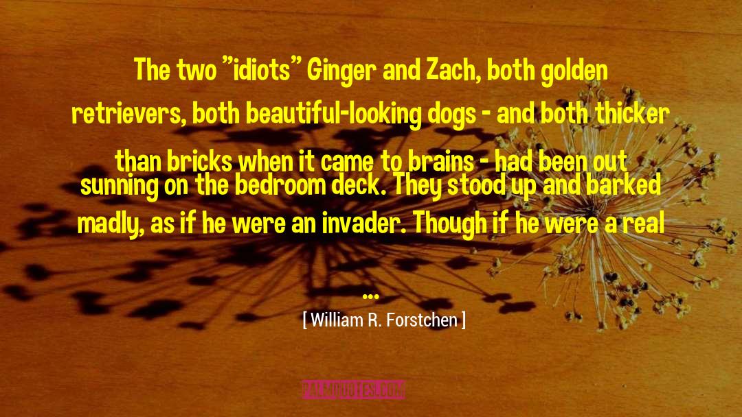 Golden Retrievers quotes by William R. Forstchen