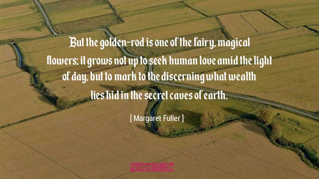 Golden Snitch quotes by Margaret Fuller