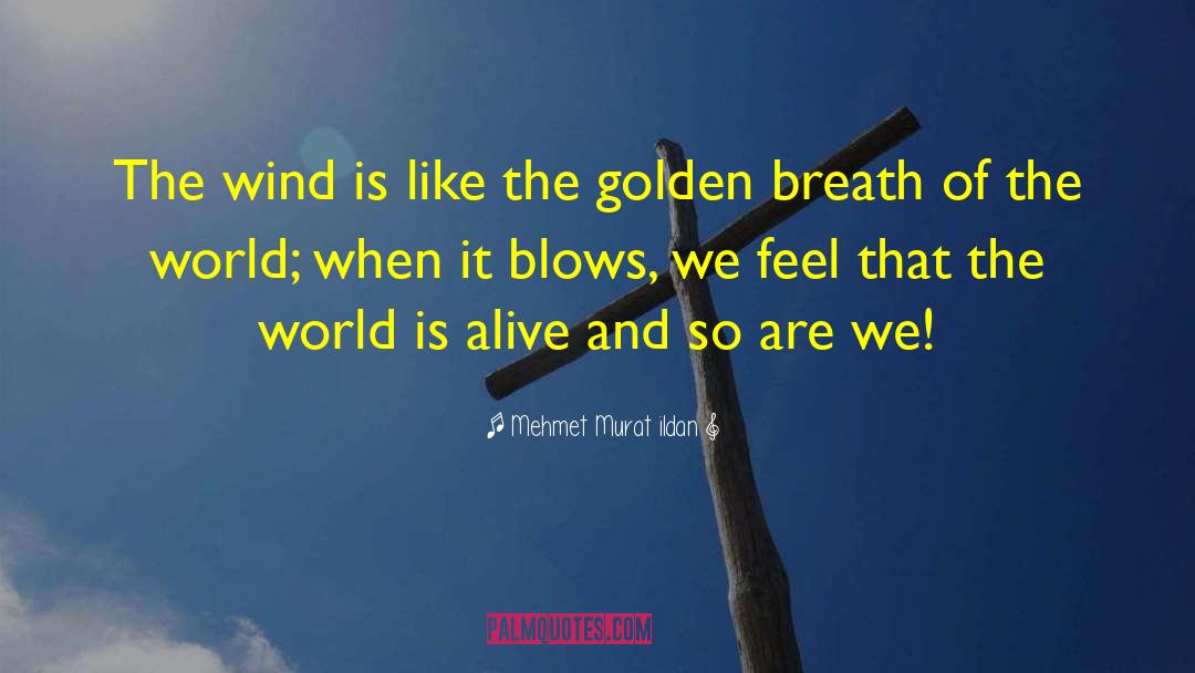 Golden Spoon quotes by Mehmet Murat Ildan