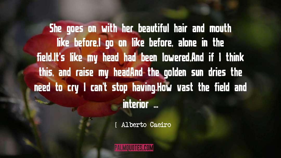 Golden Sun quotes by Alberto Caeiro