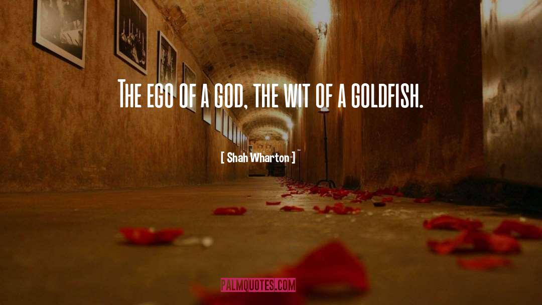 Goldfish quotes by Shah Wharton