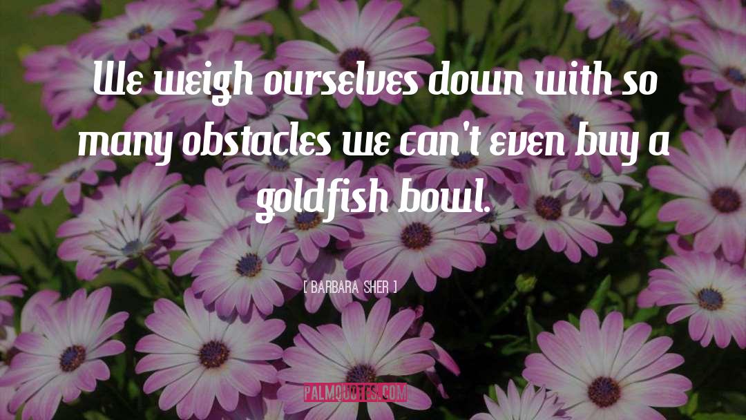 Goldfish quotes by Barbara Sher