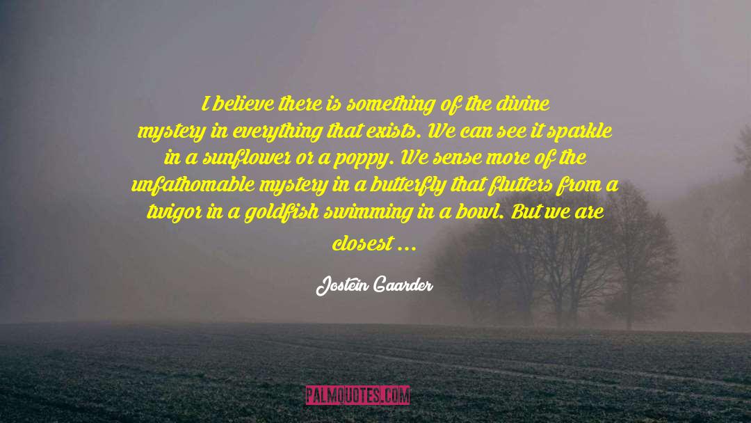 Goldfish quotes by Jostein Gaarder