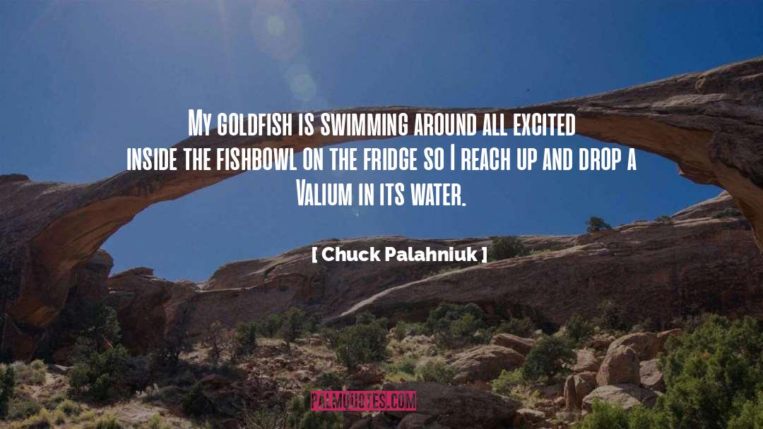 Goldfish quotes by Chuck Palahniuk