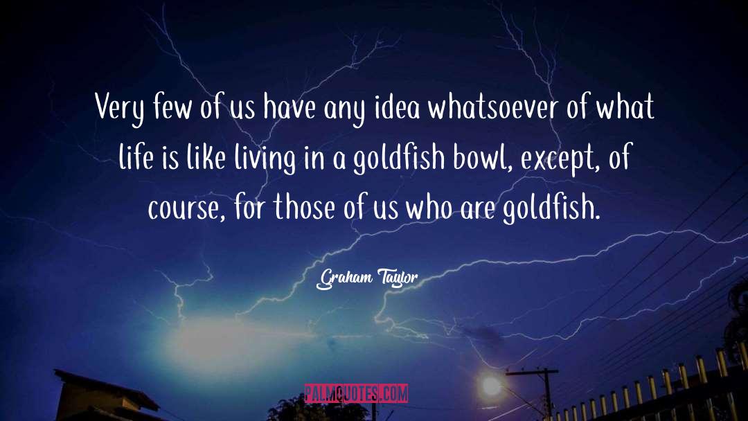 Goldfish quotes by Graham Taylor