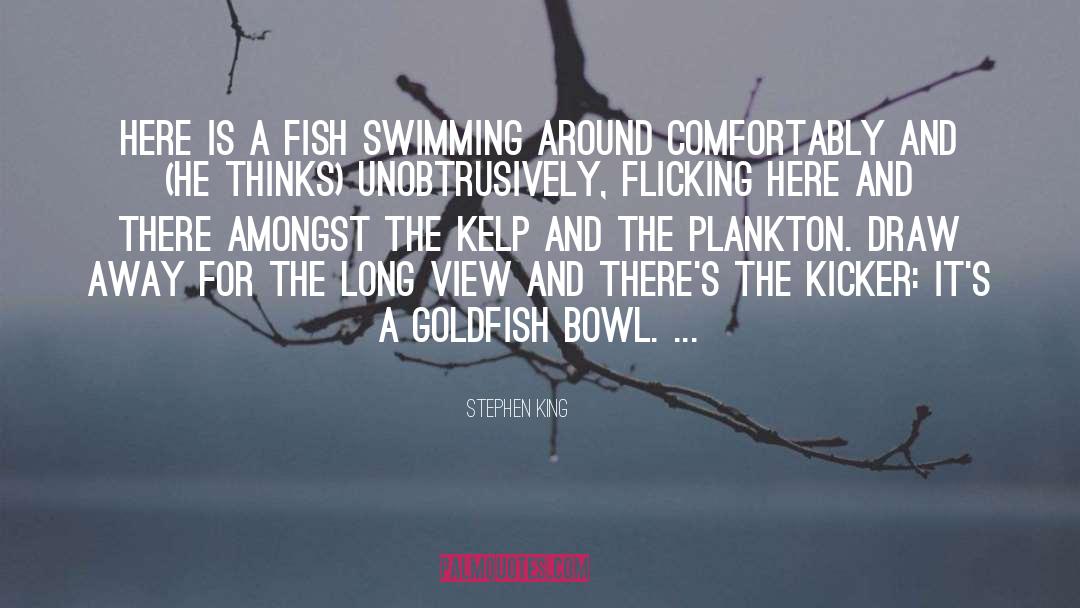 Goldfish quotes by Stephen King