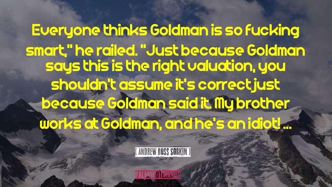 Goldman Sachs quotes by Andrew Ross Sorkin