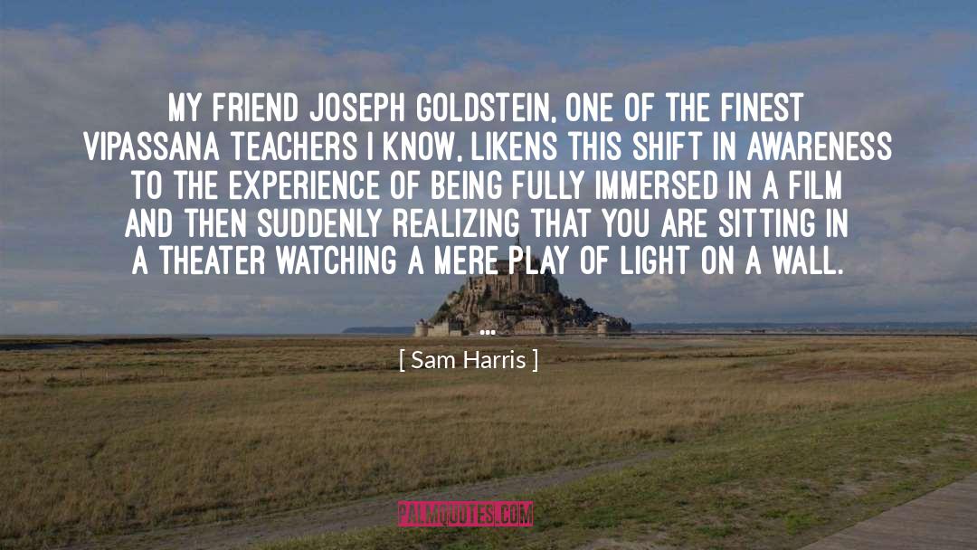Goldstein quotes by Sam Harris