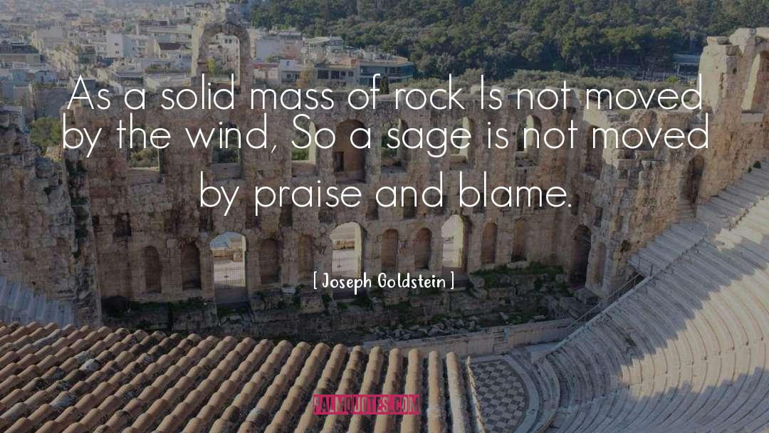 Goldstein quotes by Joseph Goldstein