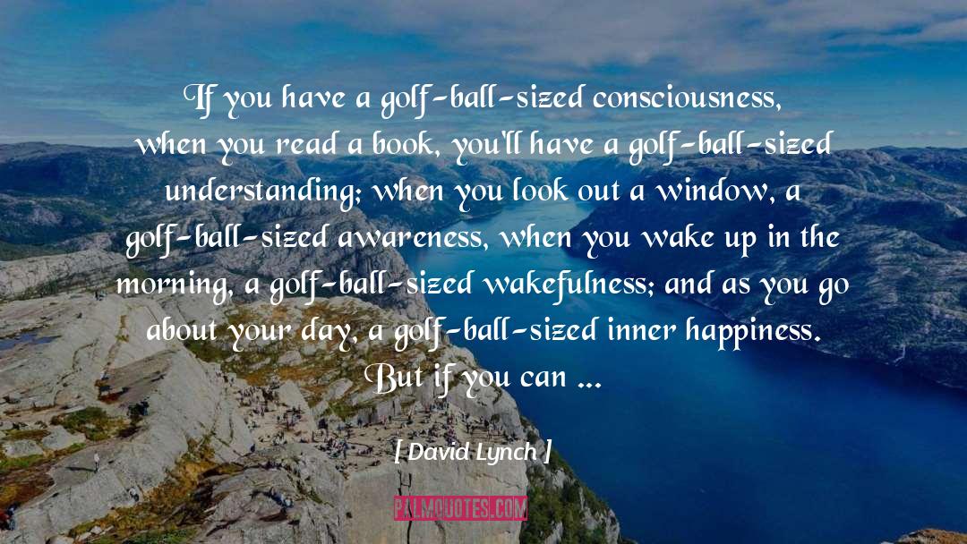 Golf Ball quotes by David Lynch