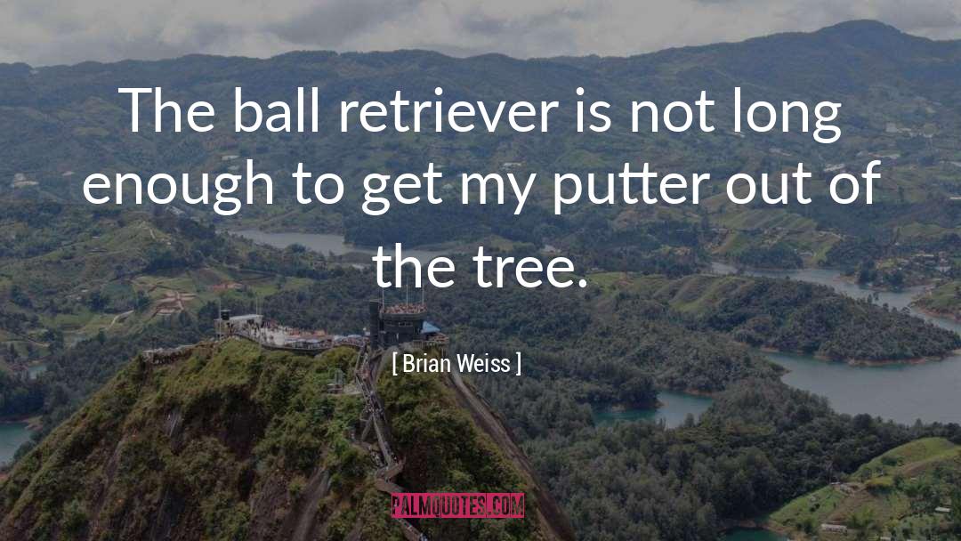 Golf quotes by Brian Weiss