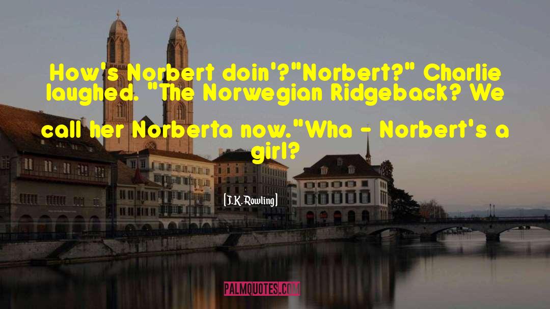 Gombos Norbert quotes by J.K. Rowling