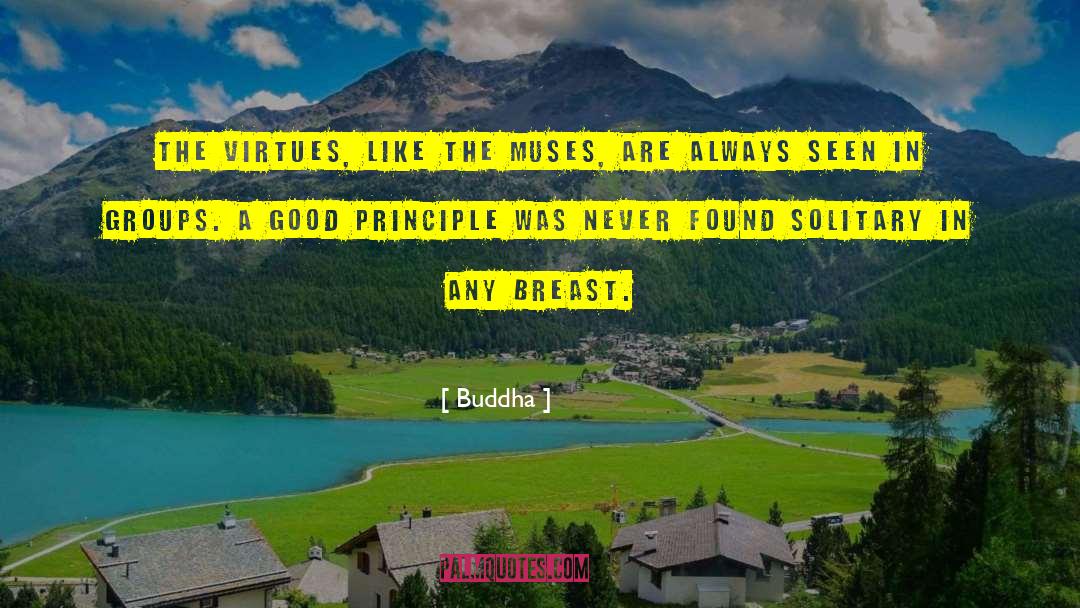 Gomorrah Principle quotes by Buddha