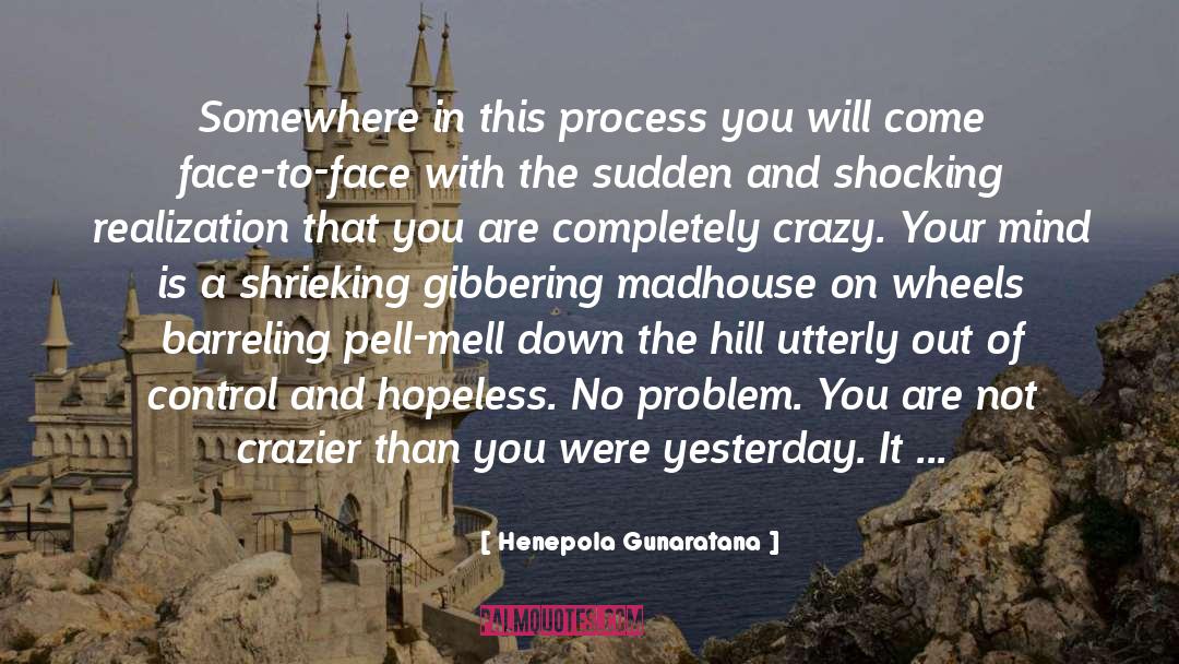 Gone Crazy quotes by Henepola Gunaratana