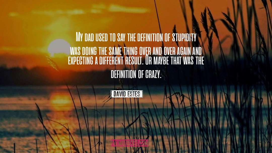 Gone Crazy quotes by David Estes