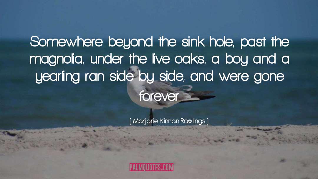 Gone Forever quotes by Marjorie Kinnan Rawlings