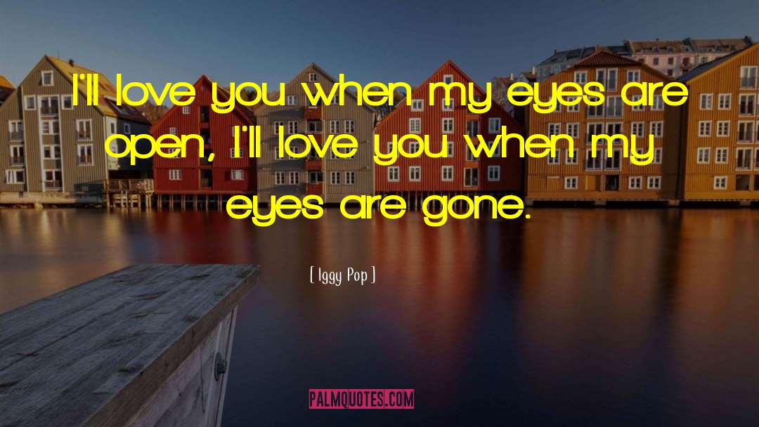 Gone Love quotes by Iggy Pop