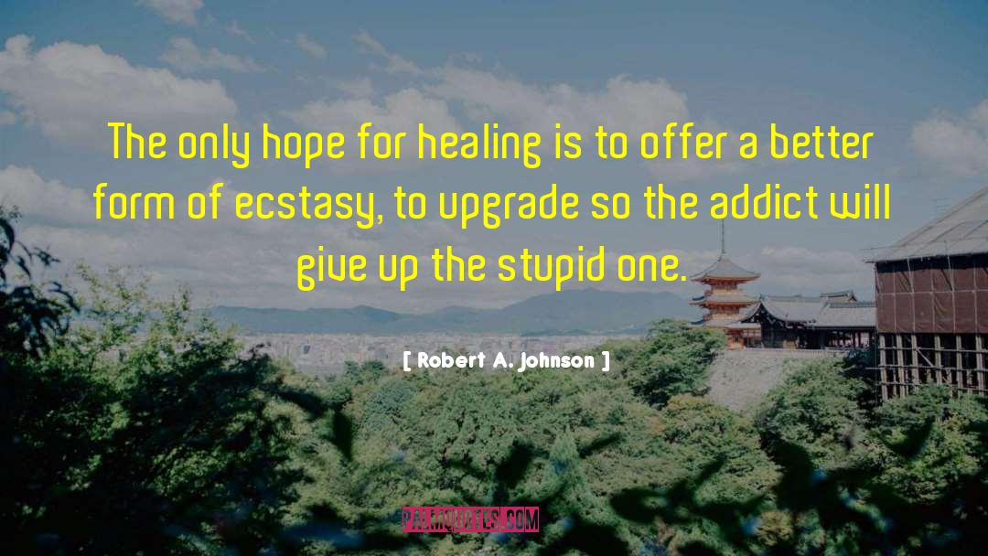 Gong Healing quotes by Robert A. Johnson