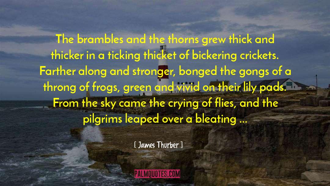 Gongs quotes by James Thurber