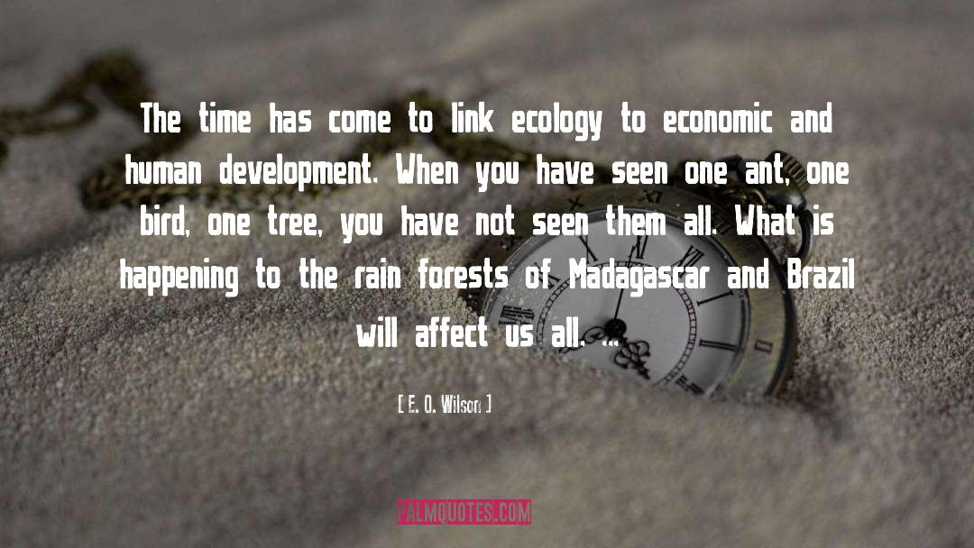 Gonyea Development quotes by E. O. Wilson