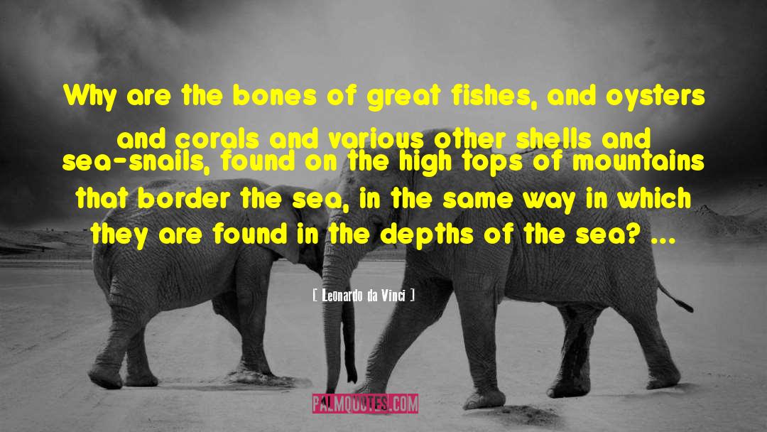 Gonzos Corals quotes by Leonardo Da Vinci