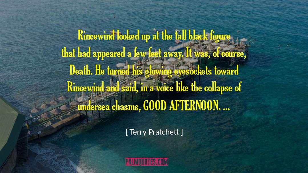 Good Afternoon quotes by Terry Pratchett