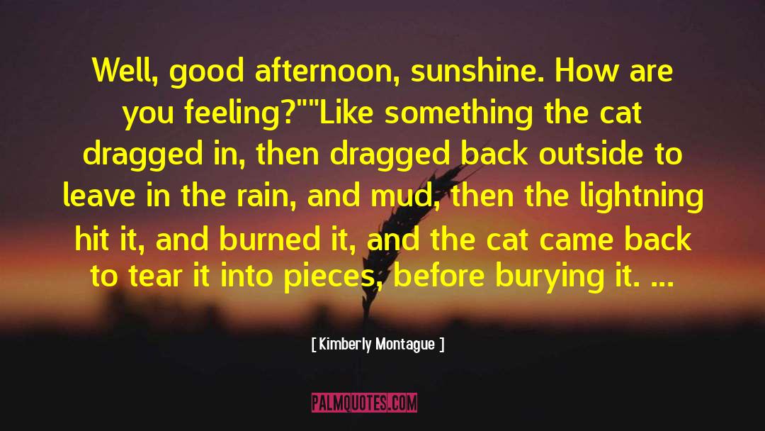 Good Afternoon quotes by Kimberly Montague