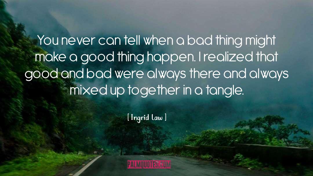 Good And Bad quotes by Ingrid Law
