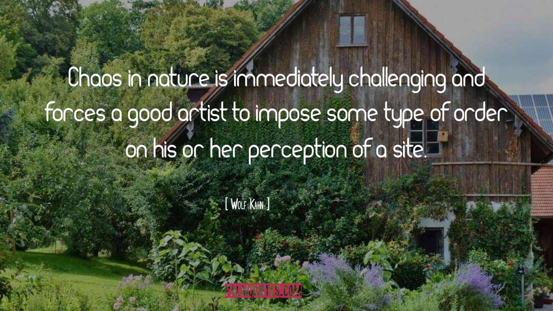Good Artist quotes by Wolf Kahn