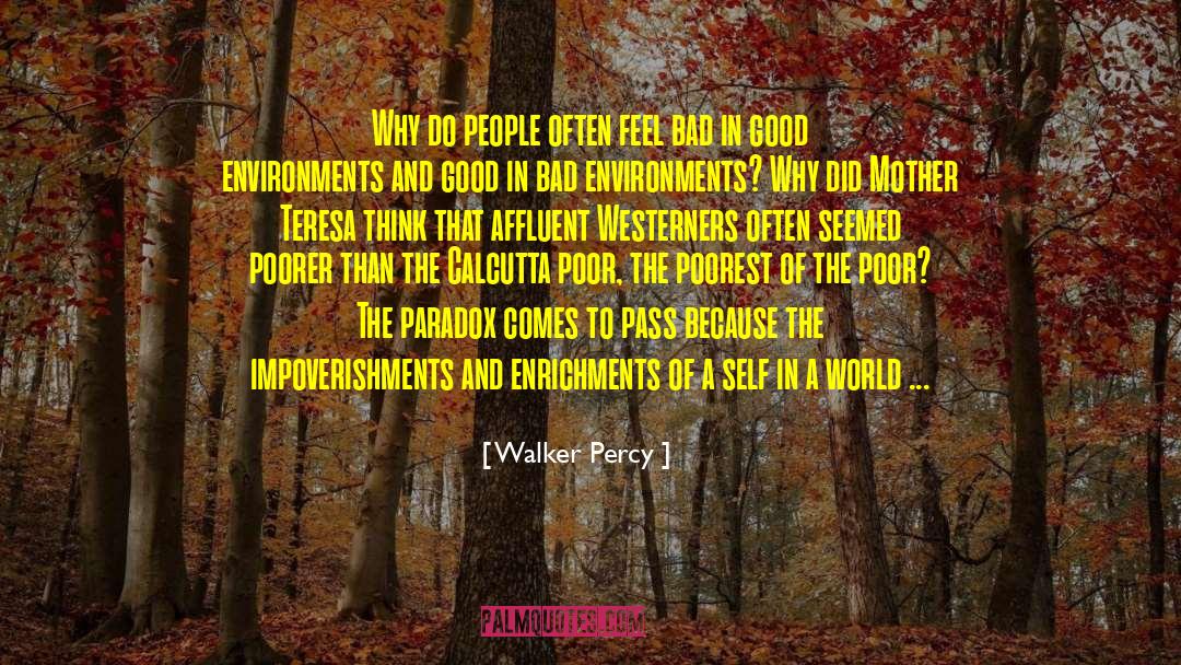 Good Attitudes quotes by Walker Percy