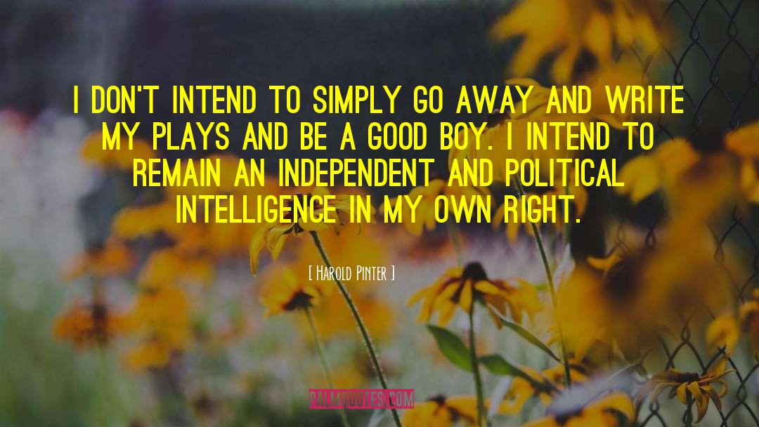 Good Boy quotes by Harold Pinter