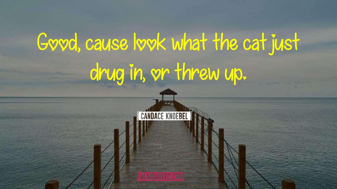 Good Cause quotes by Candace Knoebel