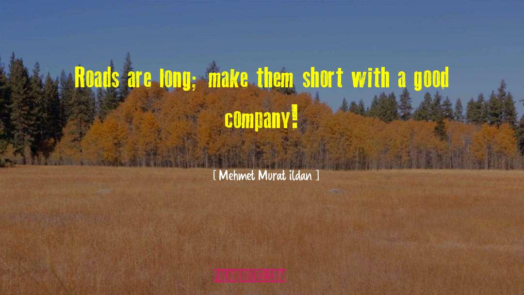 Good Company quotes by Mehmet Murat Ildan