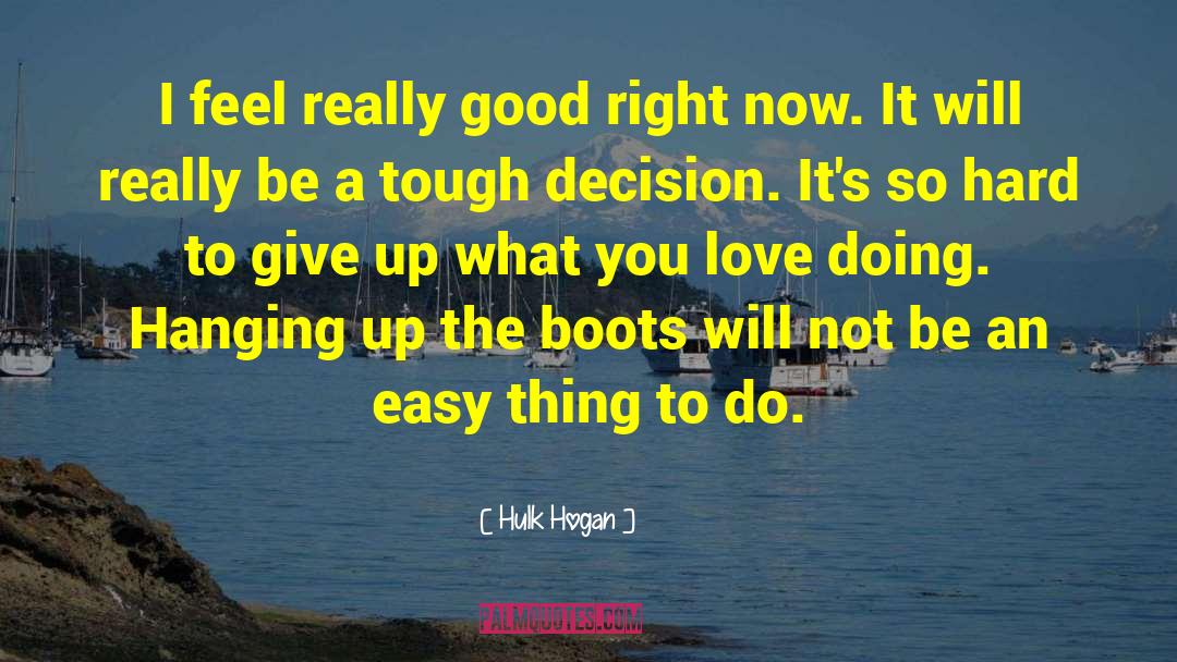 Good Decision quotes by Hulk Hogan